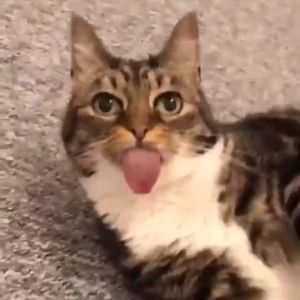 Meet your Posher, Timothy